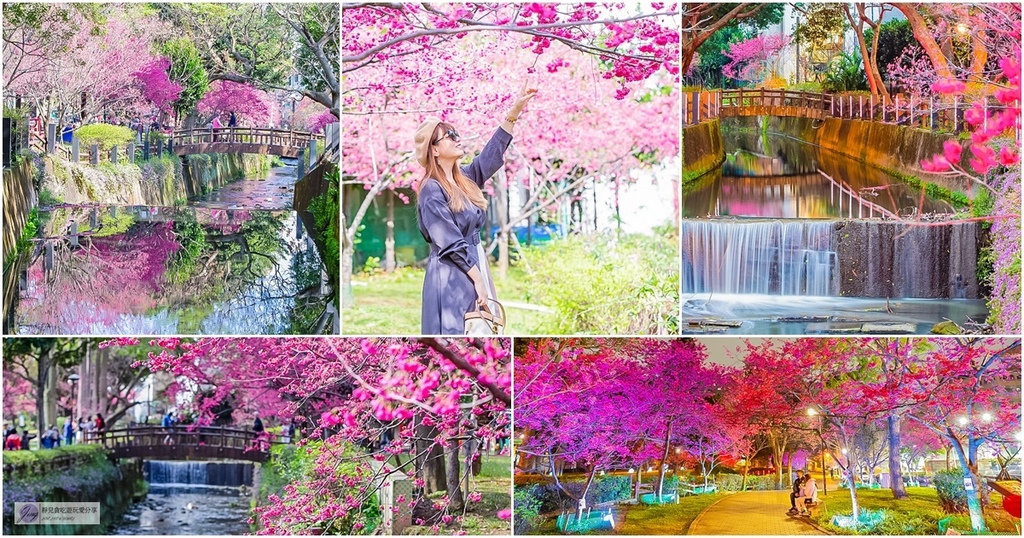 莒光公園,櫻花公園,賞櫻景點,八重櫻,夜櫻,中原夜市,桃園中壢,桃園,中壢,偽出國,賞櫻,櫻花,賞花,櫻花季,拍照