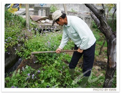 閒不住的已退休的可愛的公公