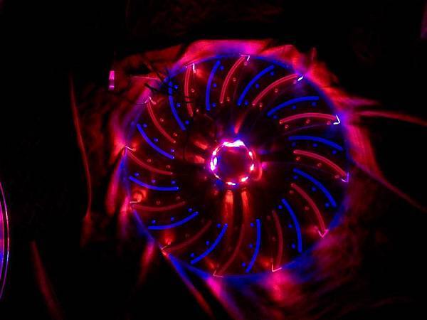 481025_534109086602155_680726657_n