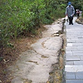 往軍鑑岩登山步道