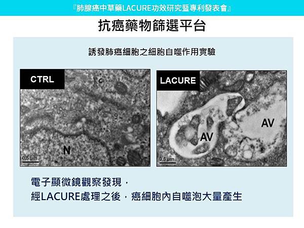 可用於治療肺腺癌之中藥萃取物 LACURE 簡報圖20181214-14.jpg