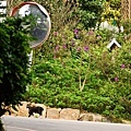 20090215-DSC_3067.jpg