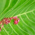 20090215-DSC_3122.jpg