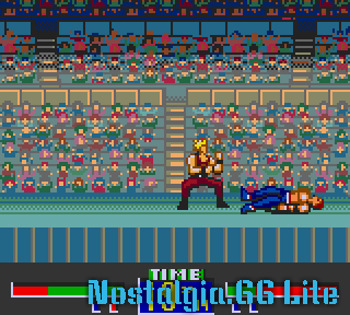 Virtua Fighter Mini-screenshot(5).png