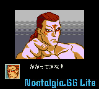 Virtua Fighter Mini-screenshot(4).png