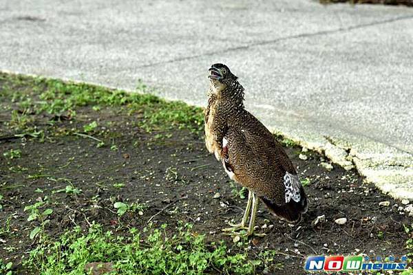 皇驛娛樂城 皇驛娛樂城
