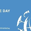 非法4World-Wildlife-Day