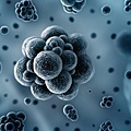 MERS2