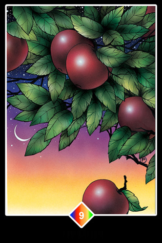 彩虹 9 時機成熟.jpg