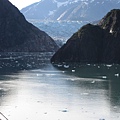 2009-09-02 第五天 Tracy ARM(崔西峽灣) Scenic Cruising & 棉田豪冰河之旅