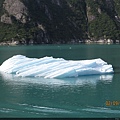 2009-09-02 第五天 Tracy ARM(崔西峽灣) Scenic Cruising & 棉田豪冰河之旅