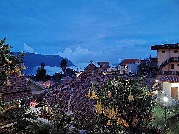 IMG_20191228_180815 IMG_20191228_180815