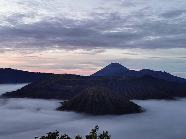 IMG_20191229_051150 IMG_20191229_051150