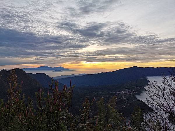 IMG_20191229_052856 IMG_20191229_052856