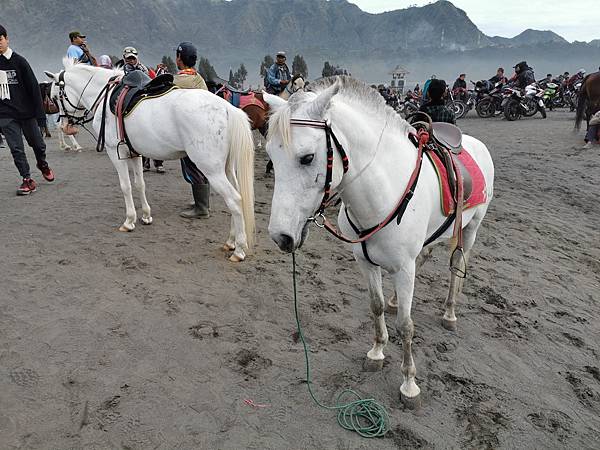 IMG_20191229_080052 IMG_20191229_080052