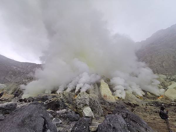 IMG_20191230_051138 IMG_20191230_051138