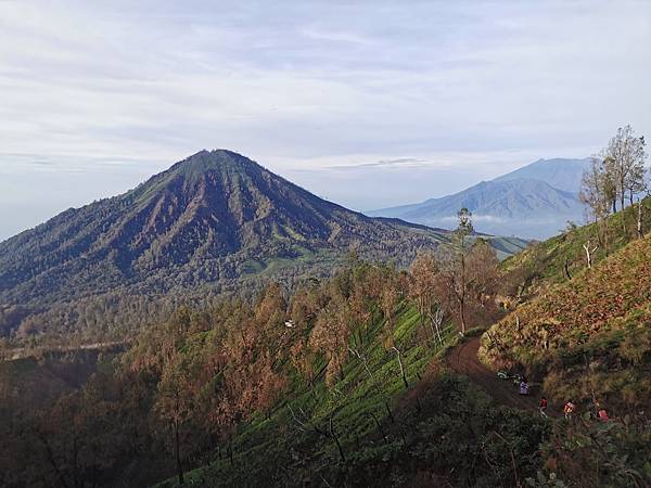 IMG_20191230_061938 IMG_20191230_061938