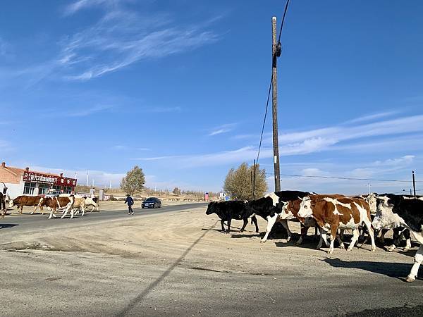 2019-10-19 103221 2019-10-19 103221