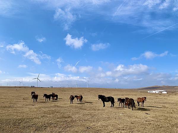 2019-10-19 101023 2019-10-19 101023