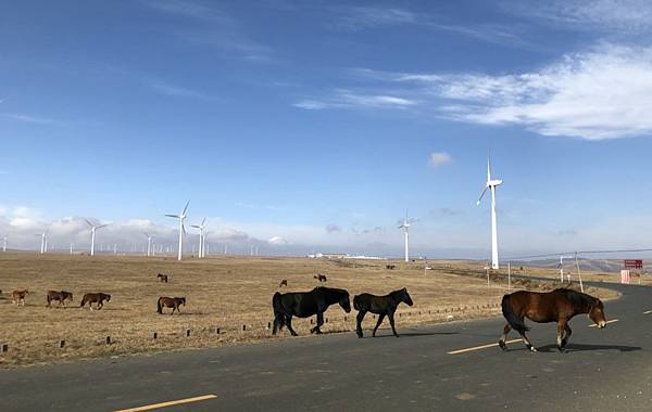 2020-08-14_164329 2020-08-14_164329