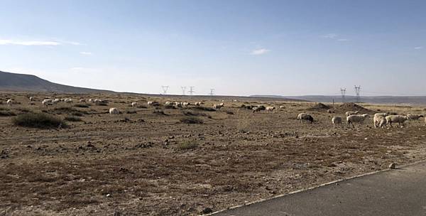 2020-08-14_175144 2020-08-14_175144