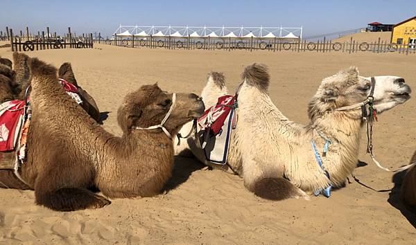 2020-08-14_181754 2020-08-14_181754