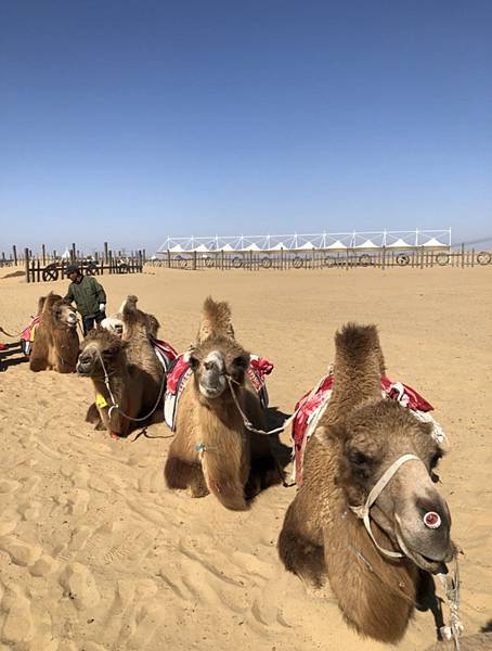 2020-08-14_181807 2020-08-14_181807