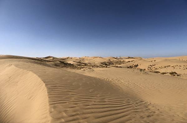 2020-08-14_182538 2020-08-14_182538