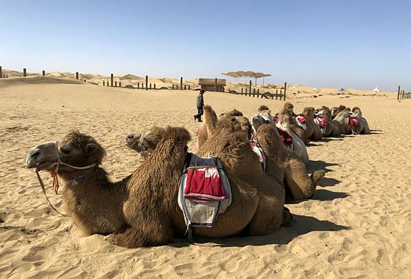 2020-08-14_182515 2020-08-14_182515