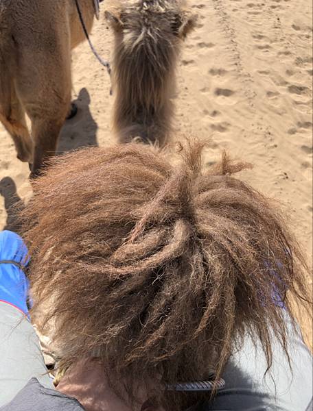 2020-08-14_182629 2020-08-14_182629