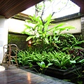 tn_IMG_0174.jpg