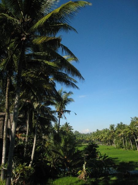 tn_IMG_3282.JPG