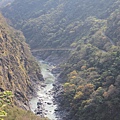 IMG_7667.JPG