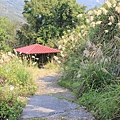 IMG_7687.JPG