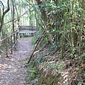 IMG_7688.JPG