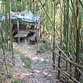 IMG_7690.JPG
