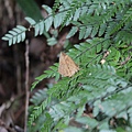 IMG_7693.JPG