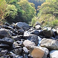 IMG_7695.JPG