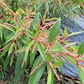 IMG_7697.JPG