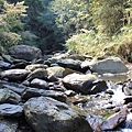 IMG_7698.JPG
