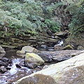 IMG_7700.JPG