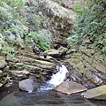 IMG_7701.JPG