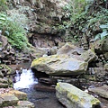IMG_7703.JPG