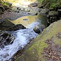 IMG_7704.JPG