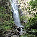 IMG_7720.JPG