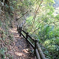 IMG_7736.JPG