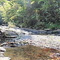 IMG_7743.JPG
