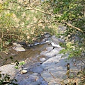 IMG_7746.JPG