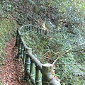 IMG_7748.JPG