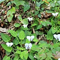 IMG_7749.JPG